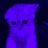 Nefor_Wextrasizes