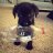 Lucas_Smolins